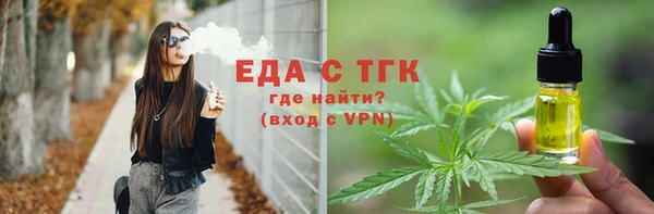 индика Елабуга